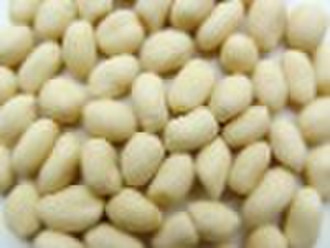 blanched peanut kernels