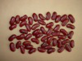 dark red kidney beans