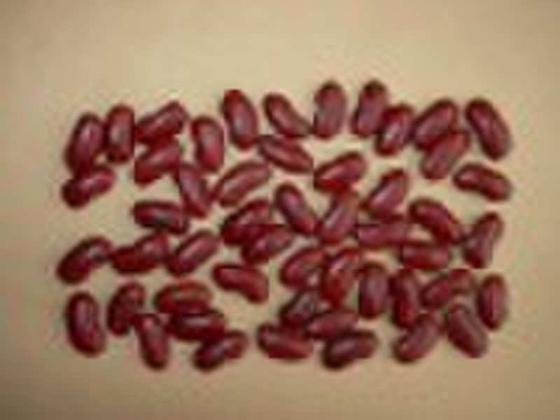 dark red kidney beans