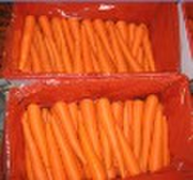 chinese fresh carrot