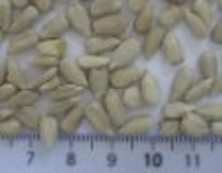 Sunflower kernels