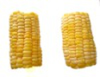 Gefrorene Süßspeise Corn Cob