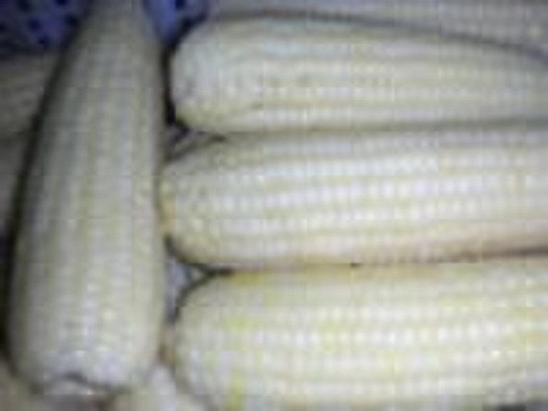 Frozen  Glutinous Corn Cob