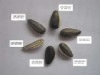 Sunflowerseeds美国的类型5009/6009/909/5135/118