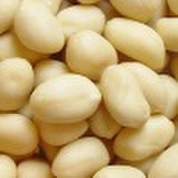 Chinese Blanched Peanut Kernels