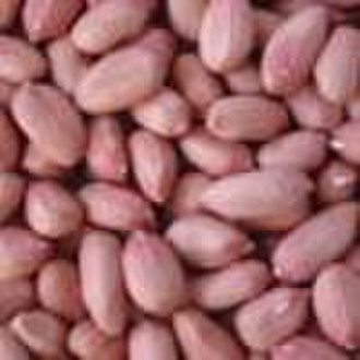 Chinese Peanut Kernels