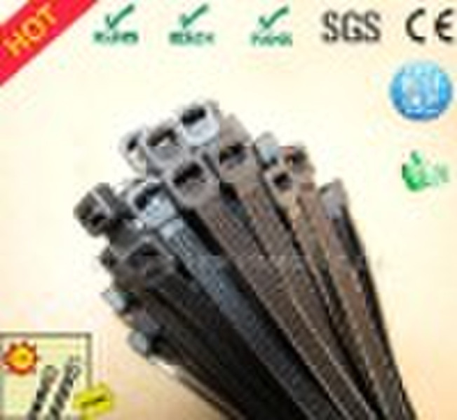 UV black Cable Tie (CE,ROHS,PAHS,REACH,SVHC,SGS,IS