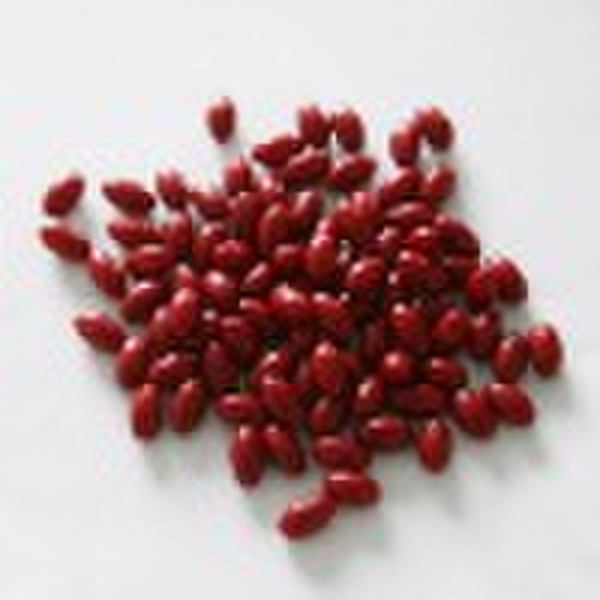 Lycopene Soft Capsule