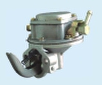 Auto Fuel Pump