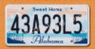 License Plate Insert (US-Größe)