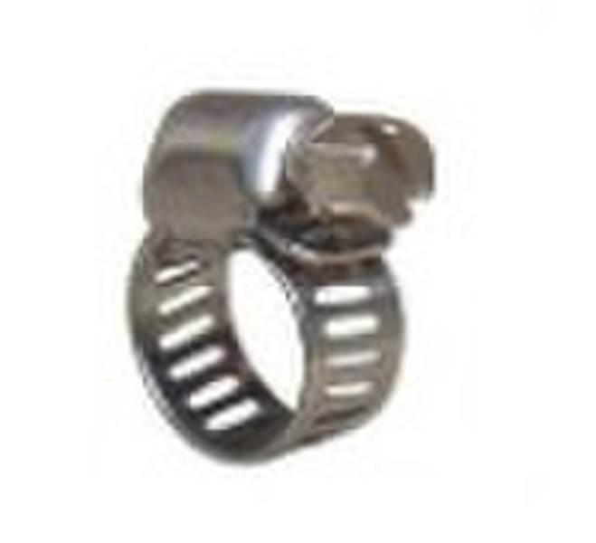 Тип Мини Америка нержавеющей стали червячной шланг