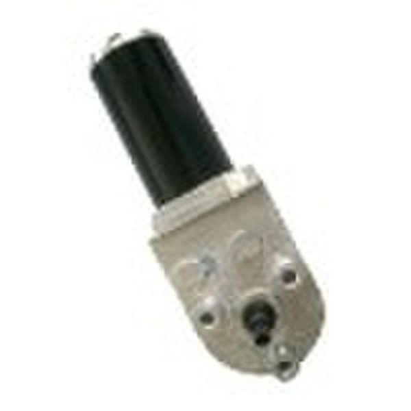 DC Worm Gear Motor  (D49M-1210-10)