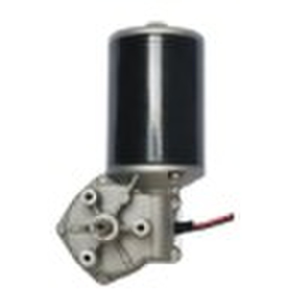 DC Worm Gear Motor  (D76L-2465-220)