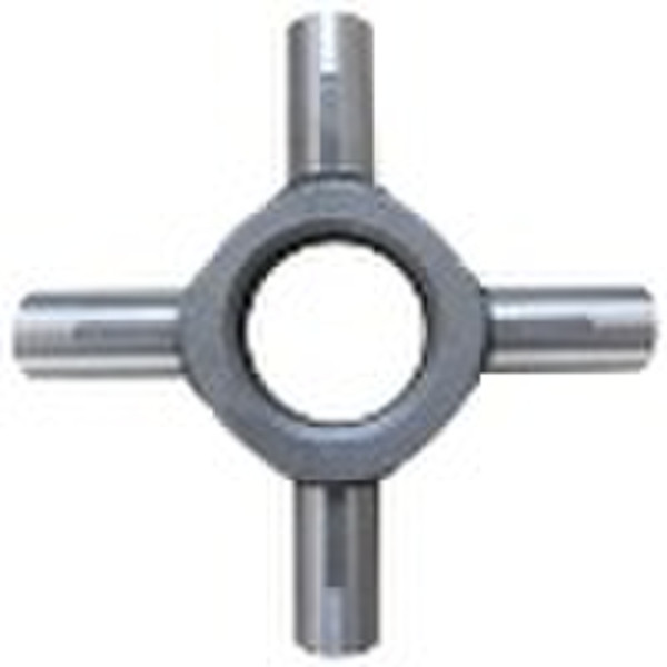 2010 Differential-Drehkreuz