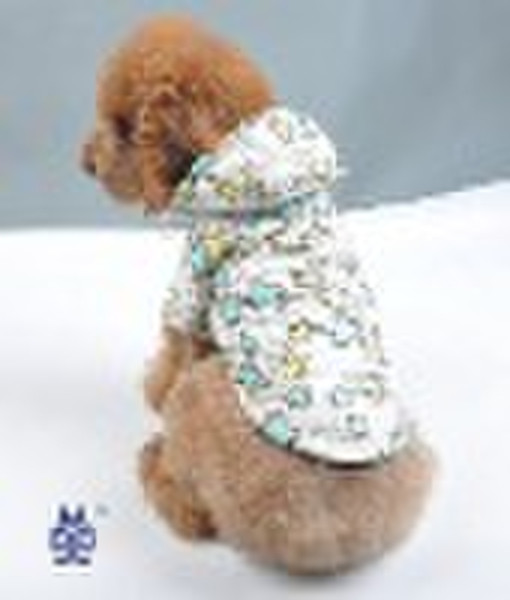 Fashionable dog clothes