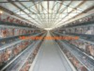 H type layer chicken cage