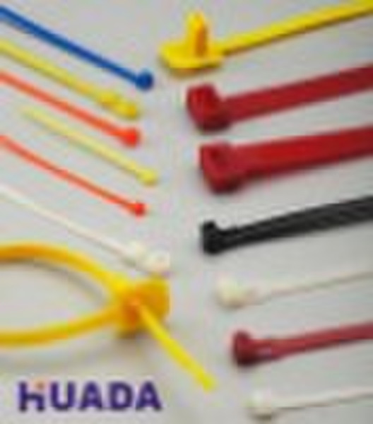 RoHS Nylon cable tie