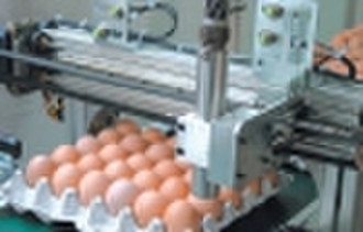 Auto Egg Marking System