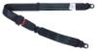 Simple two-point safety belts 041808