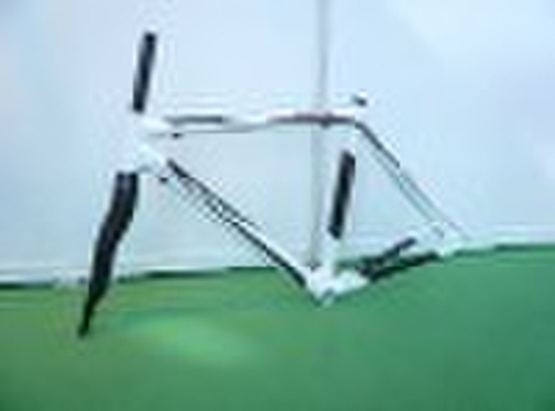 Carbon  road  frame ( LTK005+FK001 )