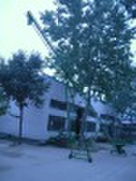 feeder convey machine