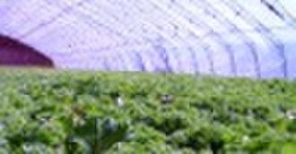 PE greenhouse film