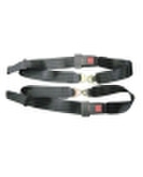 13103 car seat belt