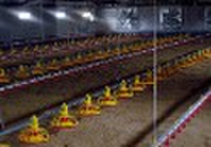 poultry equipment of automatic feeding line and dr
