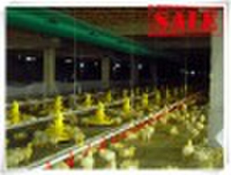 Geflügelfüttervorrichtung Broilers