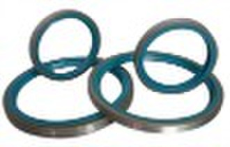 Oil Seal