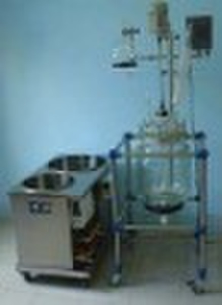 Experimental Glass Reactor