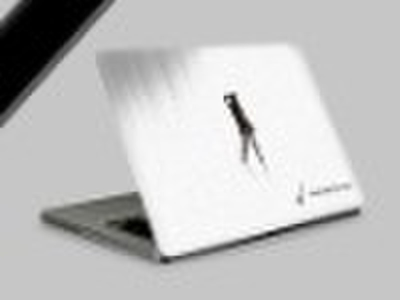 laptop skins