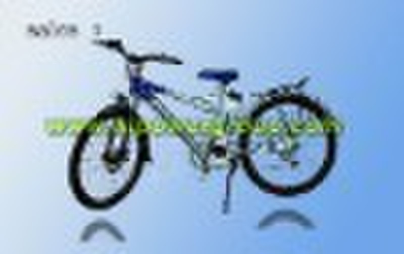 lithium bicycle