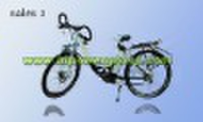 electric  bicycle