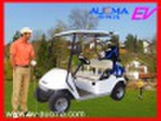 Electric Golf Buggy