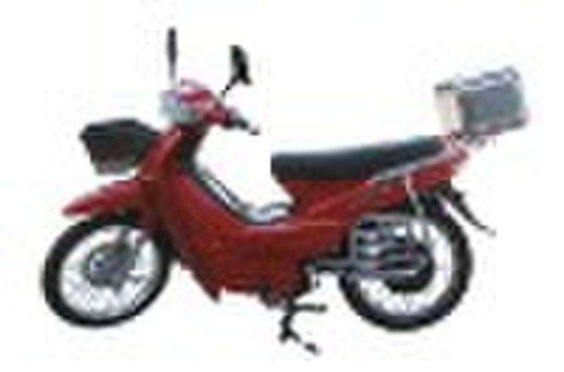 Electric Moped with 1500W Brushless Motor