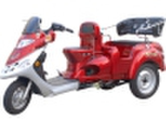 3 wheel motorcycle DL100ZK-B(B type)
