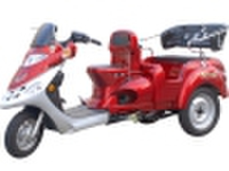 3 wheel motorcycle DL100ZK-B(B type)