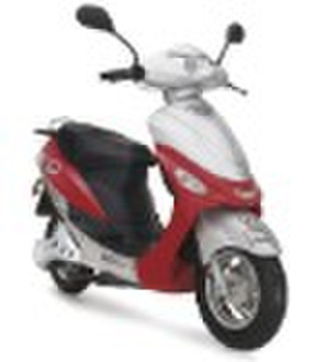 EEC Electric Scooter  (800W , 48V20Ah )