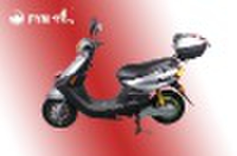 Electric Scooter-48V 20Ah