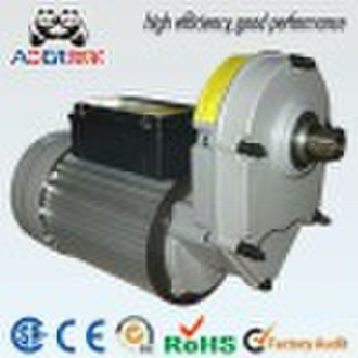 AC Gear Motor