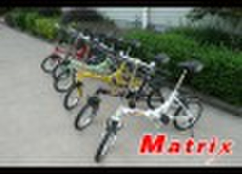16" folding bike popular model       LWFB-401