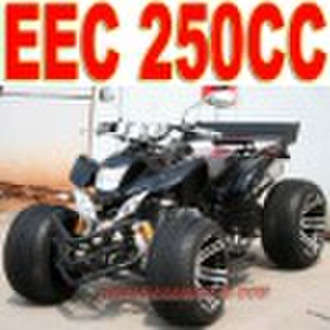 EEC 250cc ATV Гонки