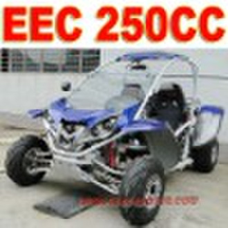 EEC 250cc Пляж Багги