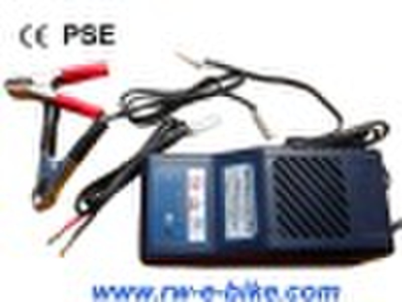 12V smart battery charger