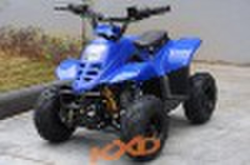 110CC ATV (MODEL C)