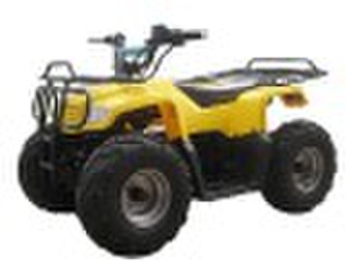 1000W Мини Электрические ATV