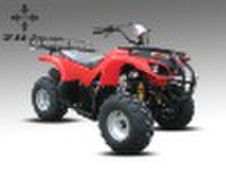 50cc/70cc/90cc/110cc Mini ATV