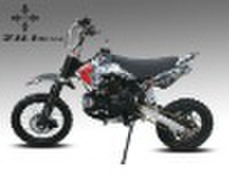 125cc lifan dirt bike engine 125cc motorbike/motor