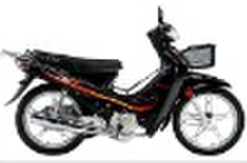 motorcycle FK110-D